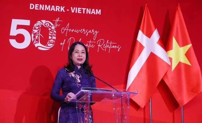 越南与丹麦建交50周年庆典在河内举行