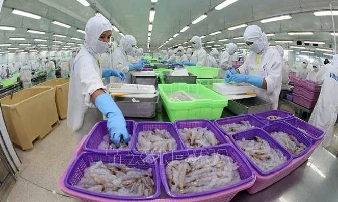  虾类产品加工业努力实现今年所提出的各项既定目标