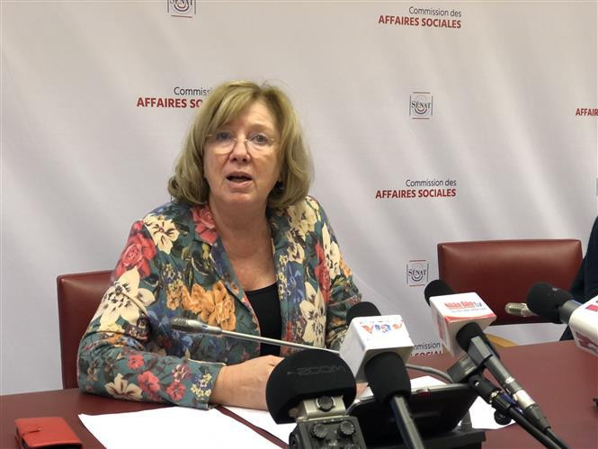 法国参议院法越议员友好小组主席:法国高度重视与越南的战略伙伴关系