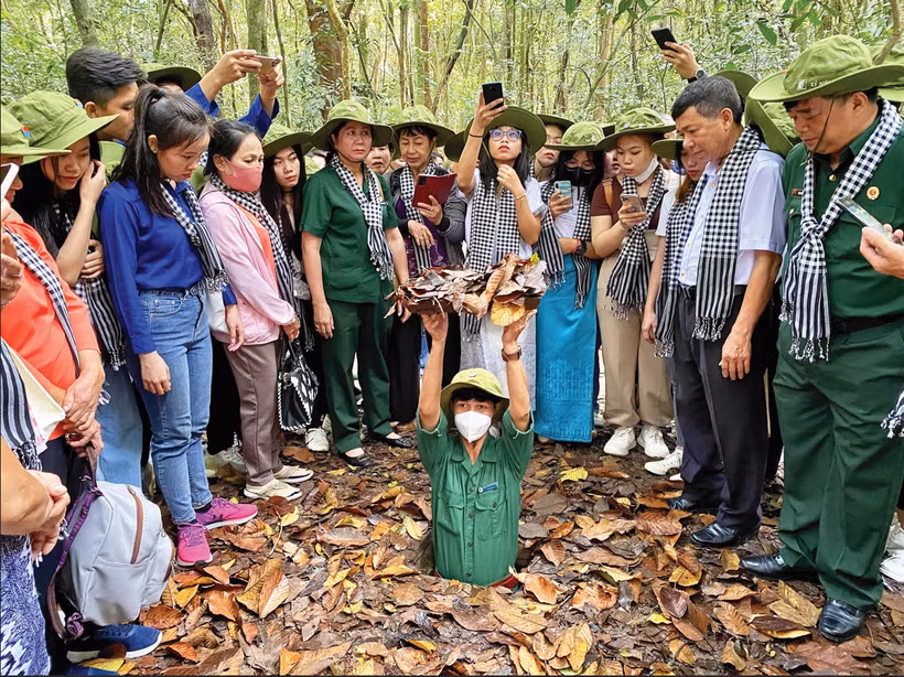 见证着古芝军民立下显赫战功的古芝地道目前成为了胡志明市著名的历史旅游景点。