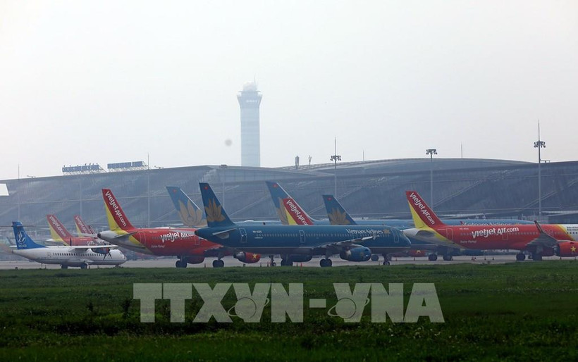 各家航空公司推出优惠票价