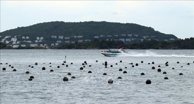 大湄公河次区域国家努力促进旅游行业复苏
