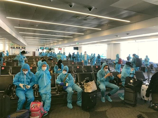 新冠肺炎疫情：340多名越南公民从澳大利亚安全回国