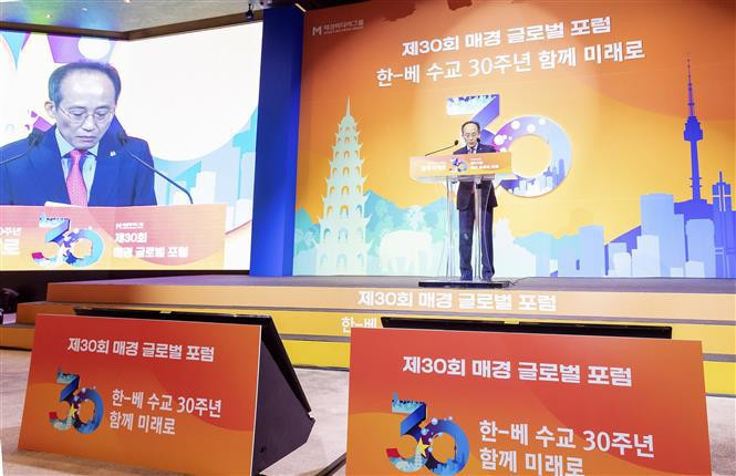 越南与韩国建交30周年纪念活动：携手前行 共创未来