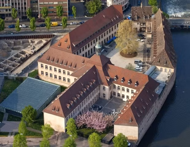 加强越法在行政人员培养和培训方面的合作