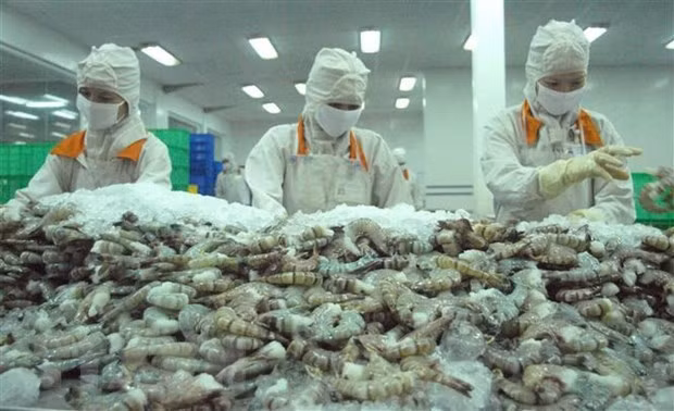 白俄罗斯愿与越南推动战略伙伴关系的发展