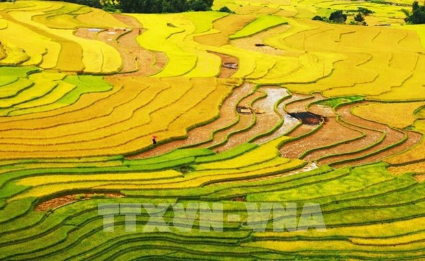 2022年世界旅游大奖：越南获亚洲地区10项提名