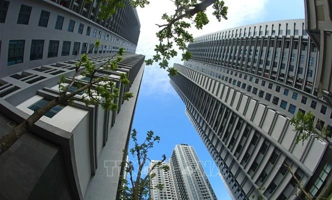 越南全国城镇化率达41%