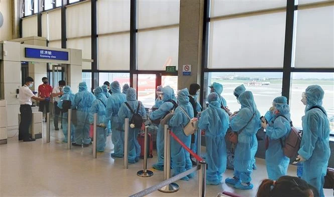 越南将在中国台湾的230名公民接回国