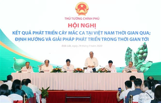 越南政府总理阮春福：坚果必须“后走先到”