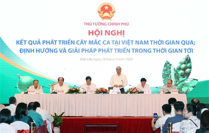 越南政府总理阮春福：坚果必须“后走先到”