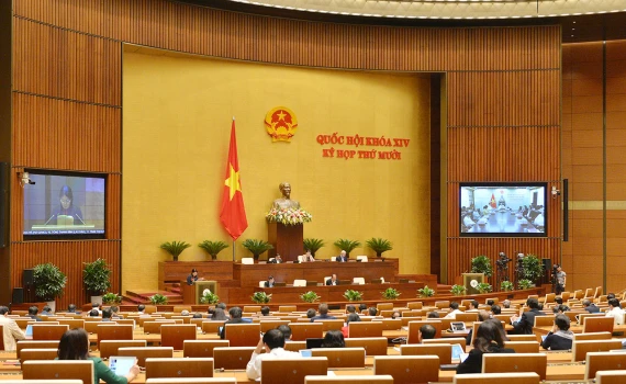 越南第十四届国会第十次会议新闻公报（第七号）