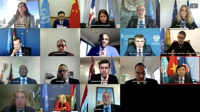 越南与联合国安理会：越南呼吁国际社会兑现对伊拉克援助的承诺