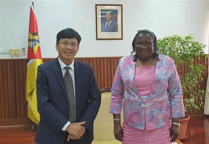 莫桑比克赞扬越南在东盟和联合国安理会事务中发挥的积极作用