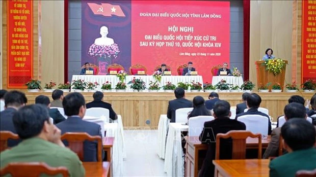 越共中央民运部部长张氏梅在林同省开展接待选民活动