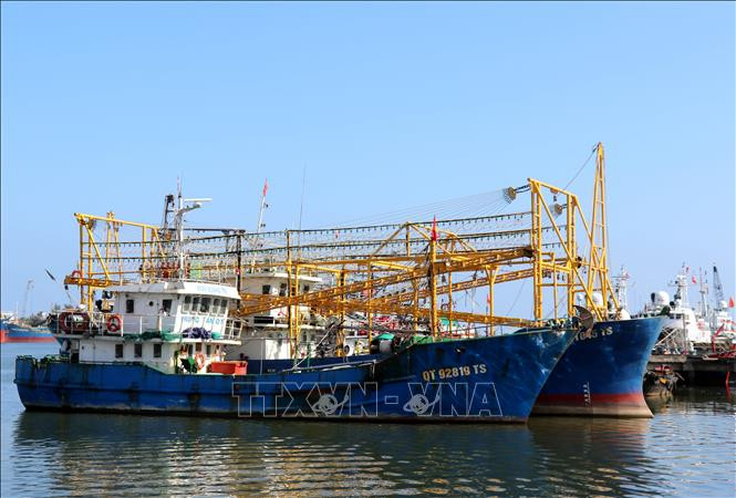 解除IUU“黄牌"警告：广治省进入打击IUU高峰期