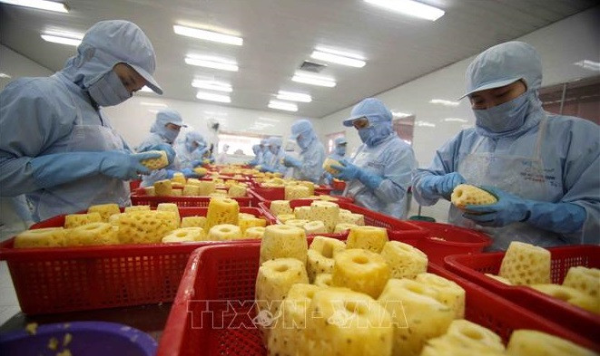 俄乌战争对越南农产品有何影响？