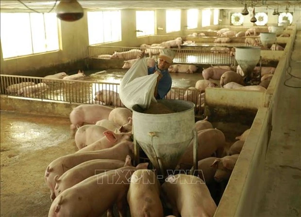 2022年越南肉类及肉制品进口需求难以大幅增加