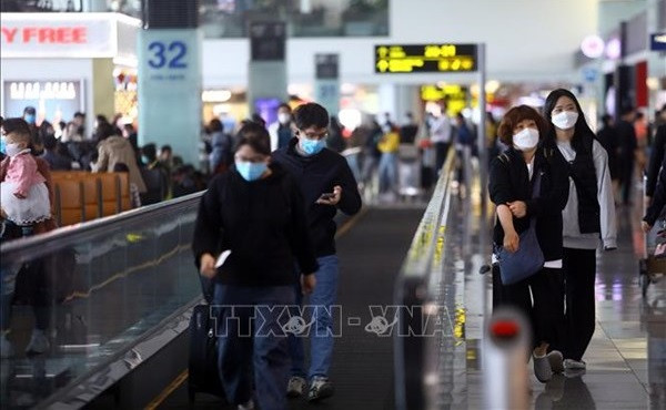 越南各家航空公司国际航班客满率正在增加