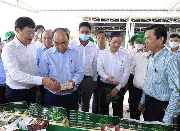 国家主席阮春福：集体经济发展是越南的必然和客观趋势