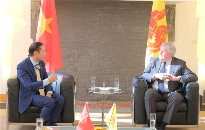 越南加强与比利时瓦隆大区议会的合作关系