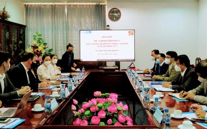 促进芹苴各所大学与澳大利亚伙伴的教育合作