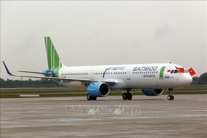 越南航空局召开紧急会议监督越竹航空运营