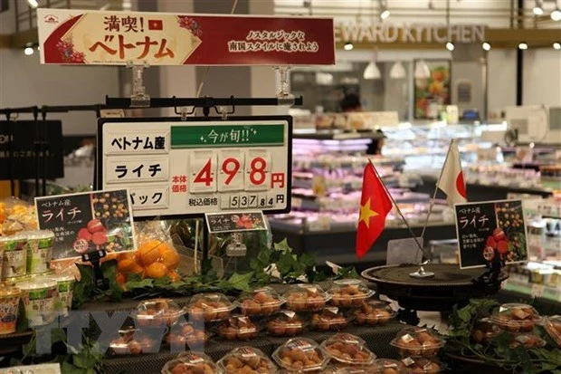 越日食品加工企业合力扩大进出口规模