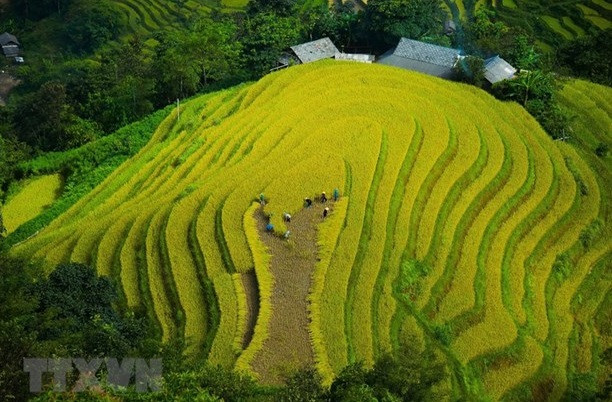 在线旅游体验——河江旅游的新方向