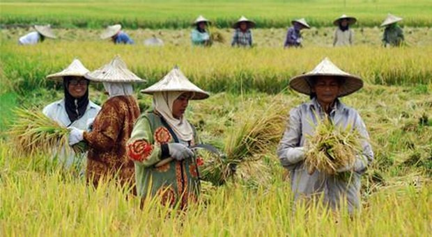 印尼与土耳其一致同意将双边农产品贸易额提升至100亿美元