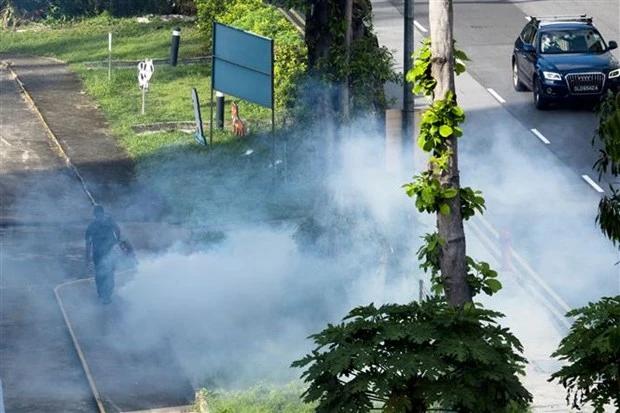 新加坡登革热疫情继续恶化