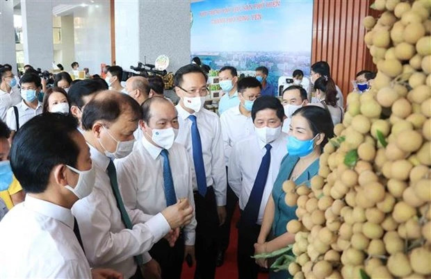 中国驻越南大使馆经济商务参赞：愿充当桥梁和纽带 助推兴安省龙眼及其他农产品销售