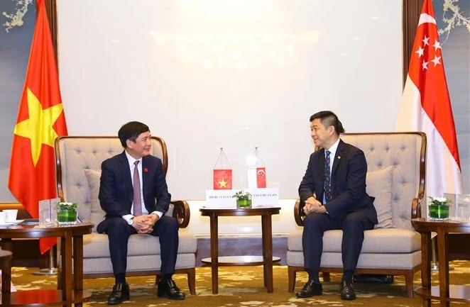 新加坡国会议长陈川仁会见越南-东盟友好议员小组主席裴文强