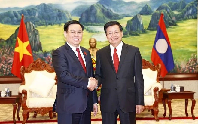 越南国会主席王廷惠礼节性拜会老挝人民革命党中央总书记、国家主席