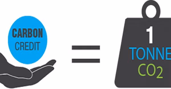 越南拟于2025年将碳信用市场投入试运行