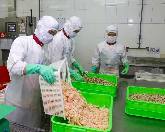 2020年越南水产品对欧盟出口额将下降20%