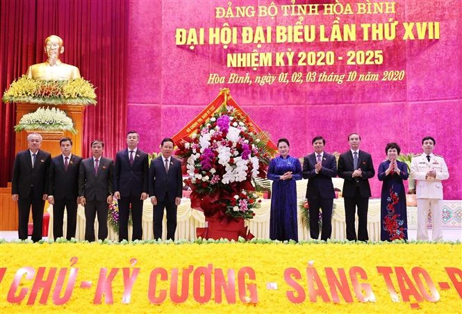 迎接党的十三大：国会主席阮氏金银出席越共和平省第十七次代表大会