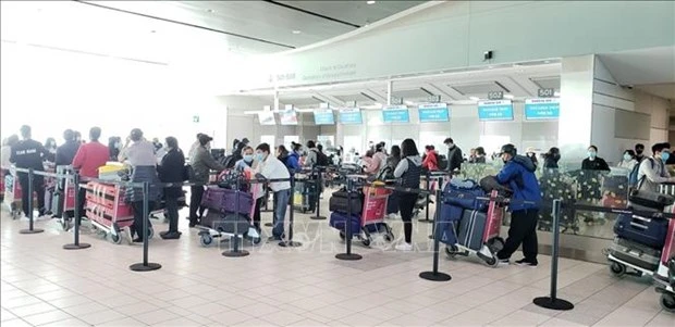 新冠肺炎疫情：滞留在阿联酋和科威特的近280名越南公民安全回国