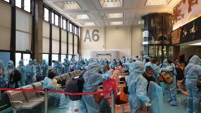 将在中国台湾滞留的近360名越南公民接回国