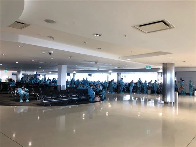 把在澳大利亚和新西兰滞留的350多名越南公民接回国