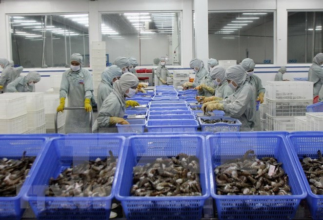 越南虾产业努力恢复虾类出口市场