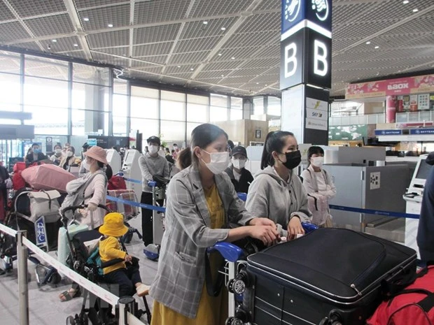 越南将340余名公民从日本接回国