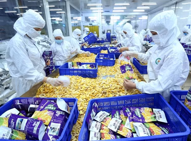 让越南商品在国际市场上亮剑