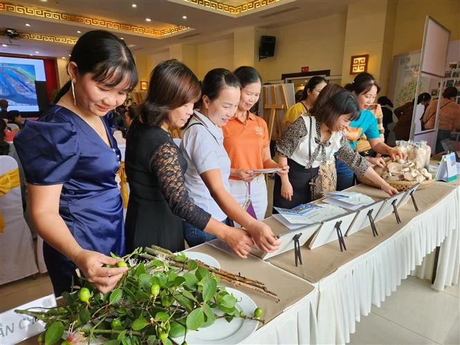 越南强调妇女在应对气候变化以及在减轻灾害风险中的重要作用