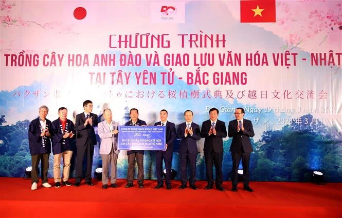 文化交流是维系越日两国友谊的桥梁