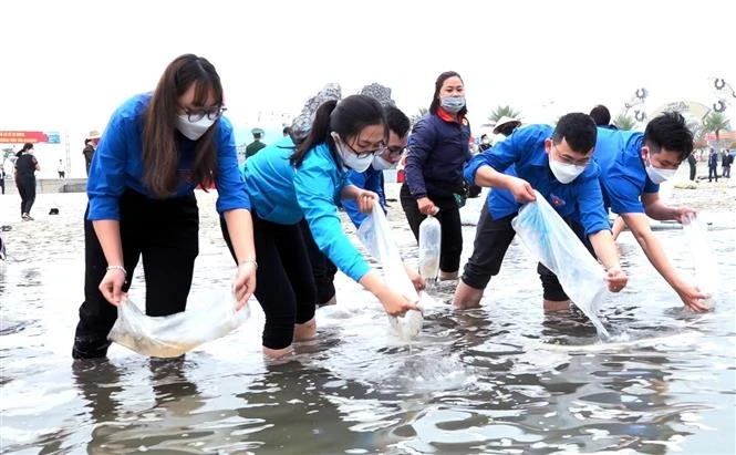 广宁省在拜子龙湾放养230万只水产苗种