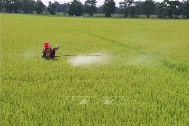 越南农业力争进入世界农业发达国家前15行列