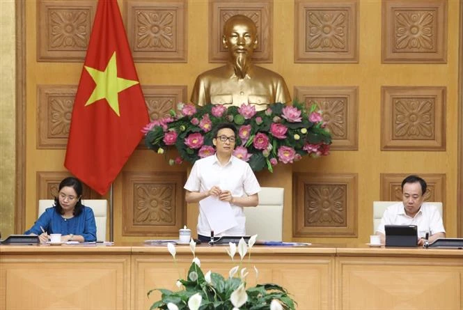 武德儋副总理： “安全的越南”的旅游推广应与疫情防控工作相结合