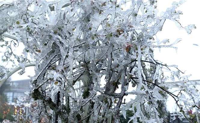 越南北部和北中部出现严寒天气 北部高山区局地气温在0摄氏度以下