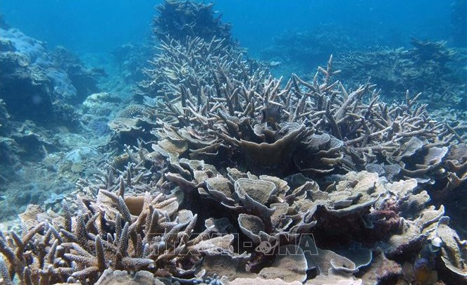 《至2030年和远景展望至2050年国家生物多样性战略》获批